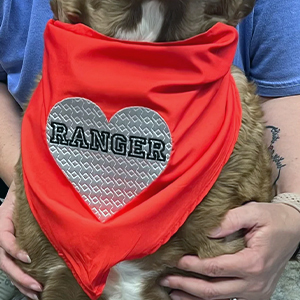 Dog Embroidery Bandana